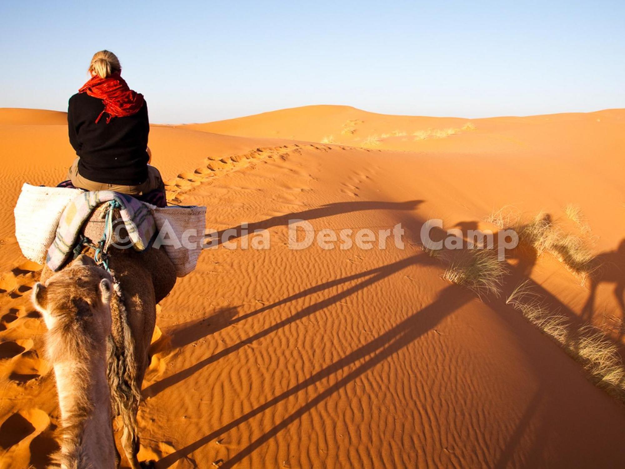 Acacia Desert Camp Hotel Merzouga Exterior photo