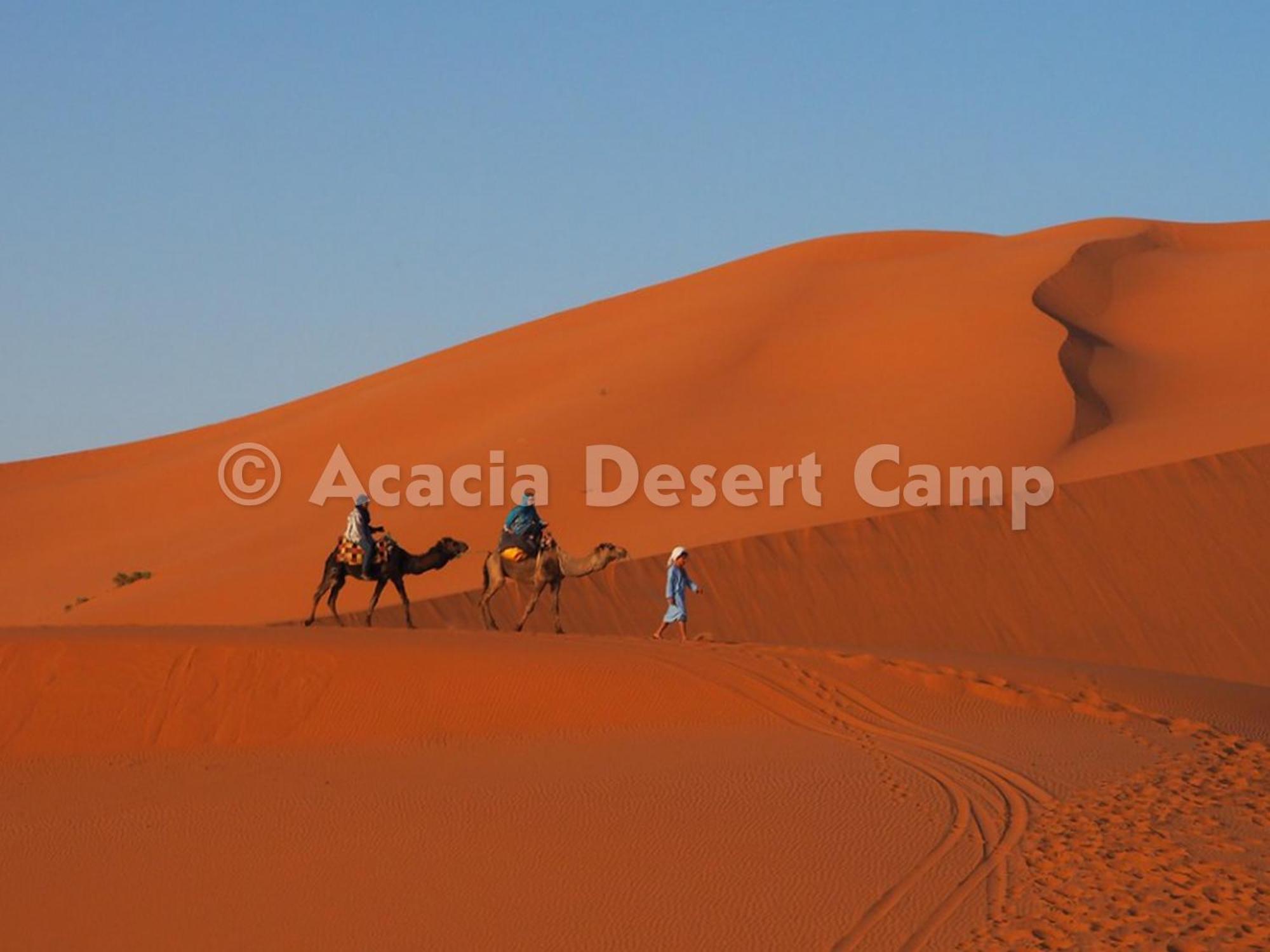 Acacia Desert Camp Hotel Merzouga Exterior photo
